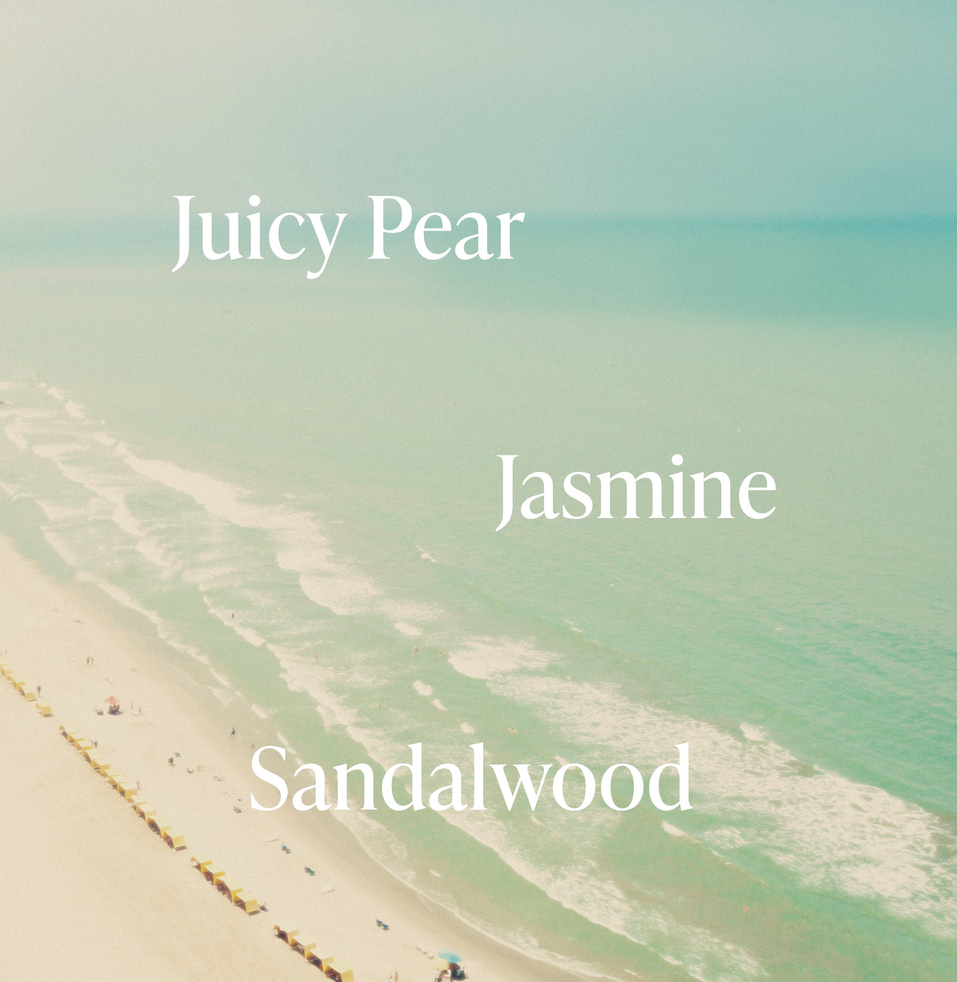 3-Recover-Restore_Fragrance-Notes_PacificPear_3000x.jpg