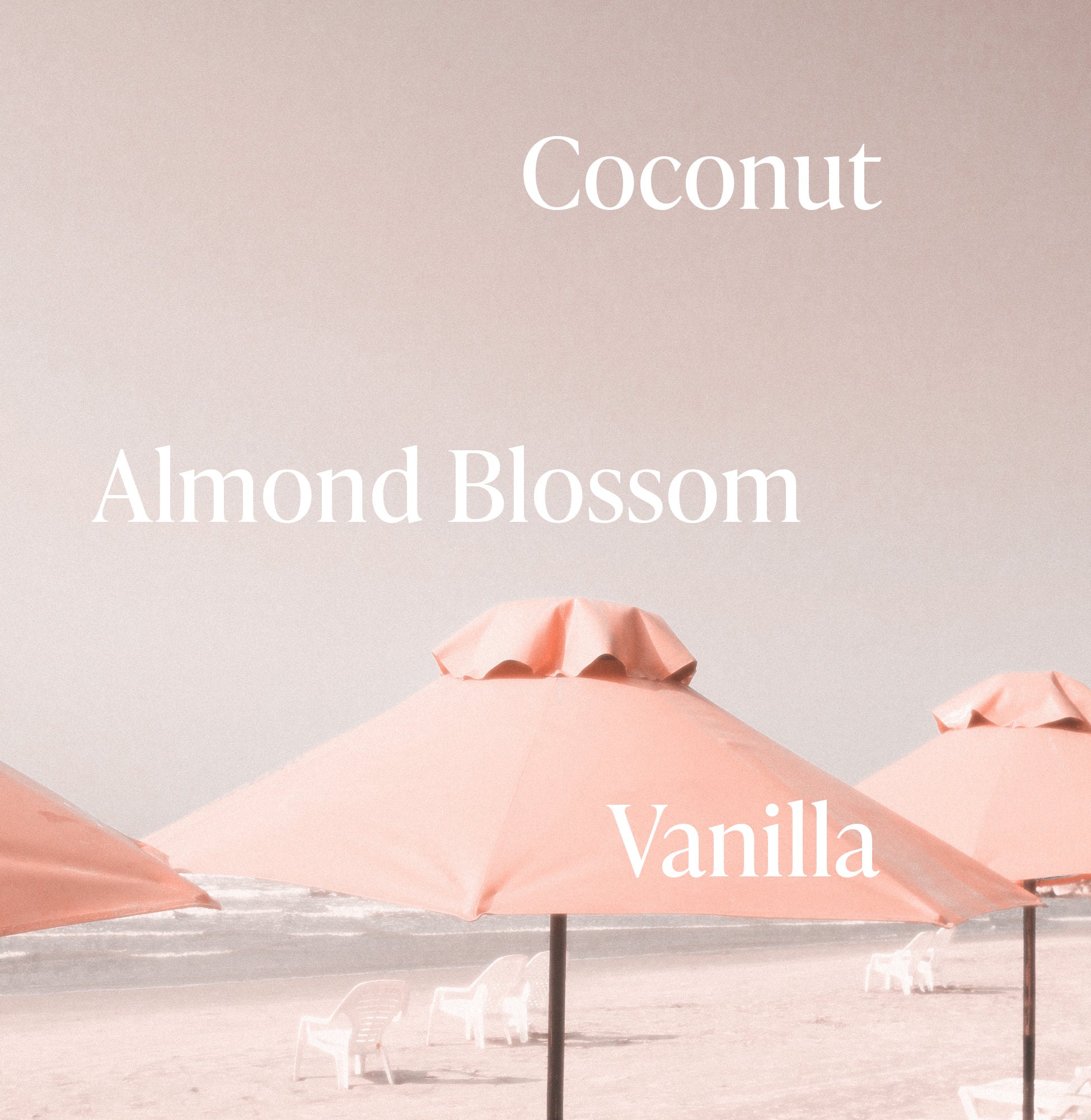3-SLTR_PDP_BodyButter_PinkBeach_Notes_2_dc5f2b8f-3baf-4a45-821e-002870d4ff7e_3000x.jpg
