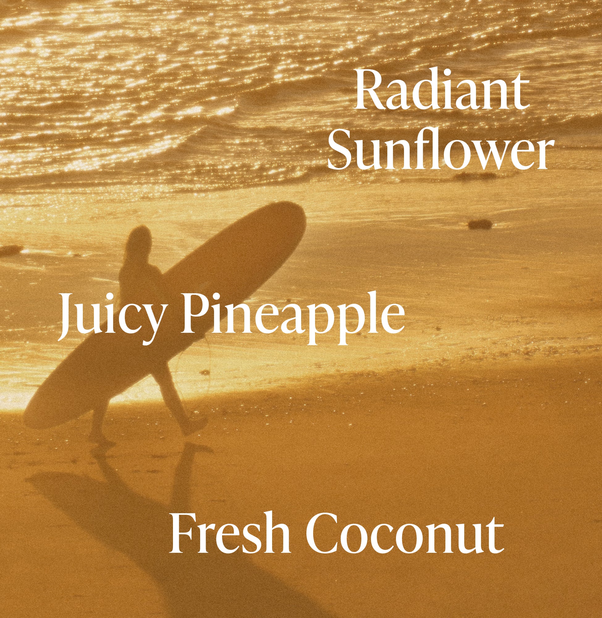 3-SLTR_PDP_FragranceNotes_GoldenHour_4_3000x.jpg