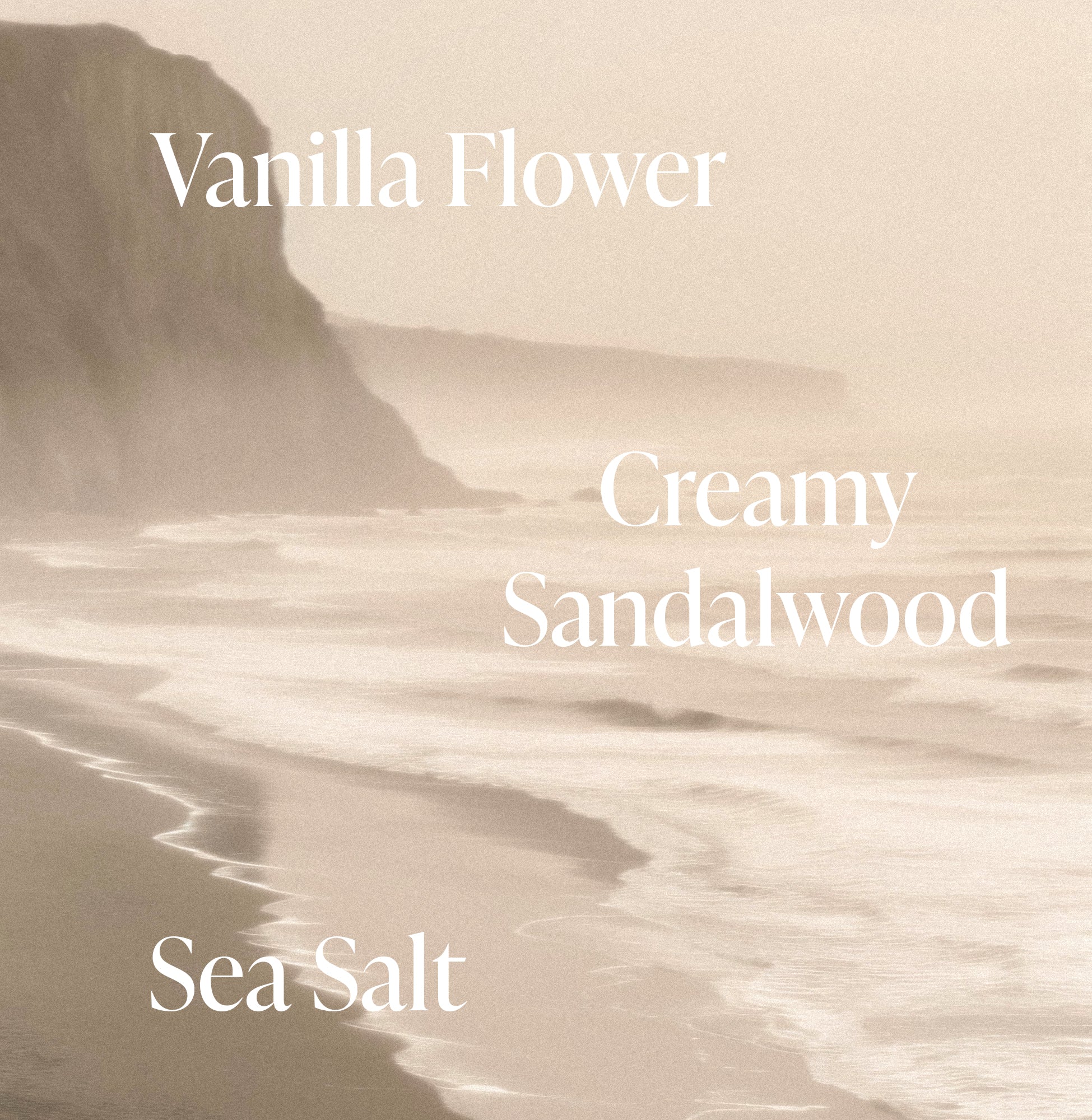 3-SLTR_PDP_FragranceNotes_SaltWaterVanilla_3000x.jpg