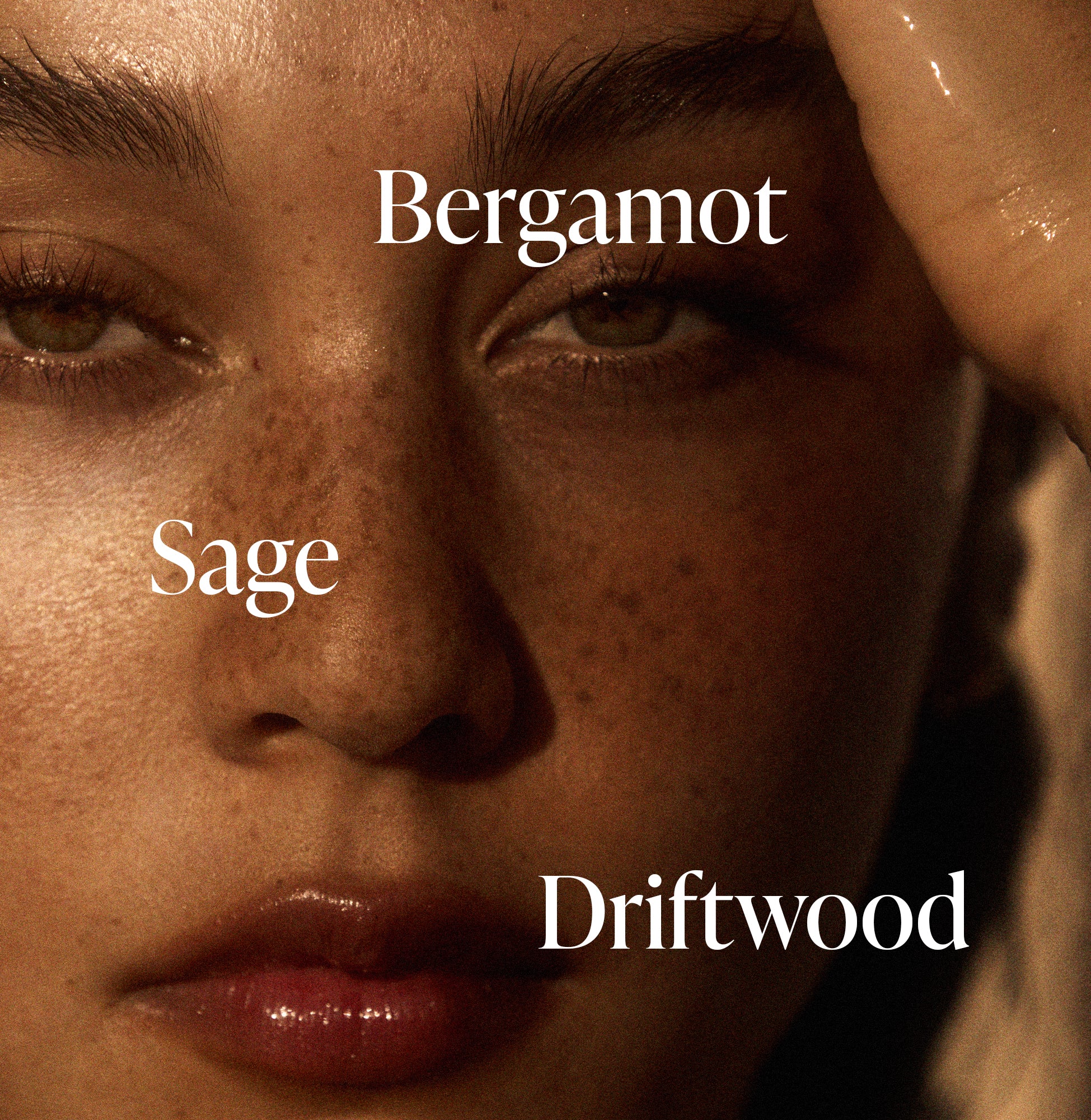 4-SLTR_PDP_FragranceNotes_Driftwood_54218d1b-030d-49ad-9b45-fd575867b46f_3000x.jpg