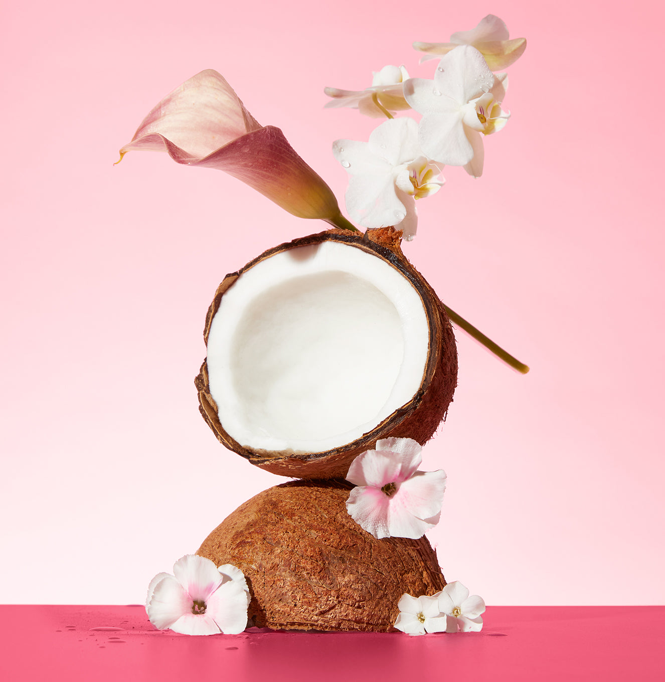 5-Pink-Beach_Body-Wash_Skin-Softening_Lifestyle-Ingredients_140f5bbf-b815-4219-8eb3-5b22b30e1679_3000x.jpg