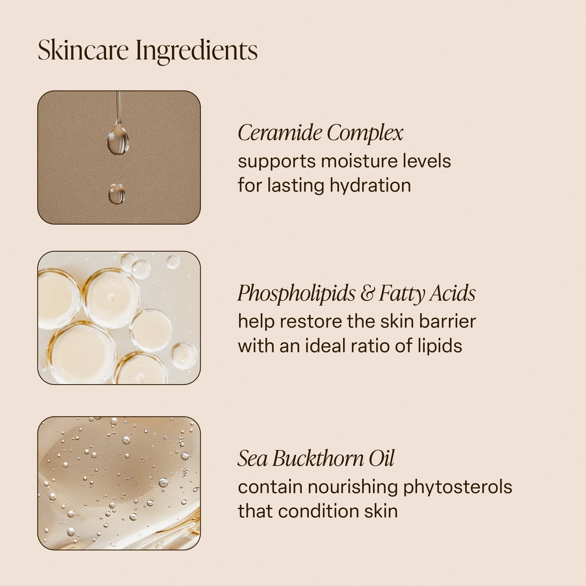 5-SLTR_PDP-KeyIngredients-BodyButter-v2_1_f66df342-8cd0-4007-b1e7-4513715a878b_3000x.jpg