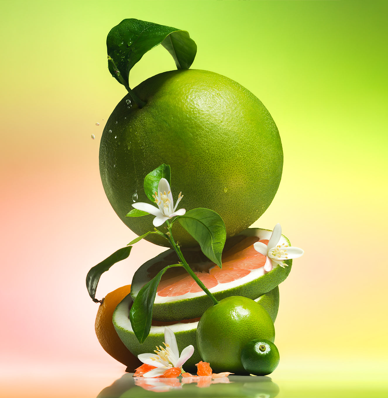 5-SLTR_PDP_BodyWash_GreenGrapefruit_Ingredient_3000x.jpg