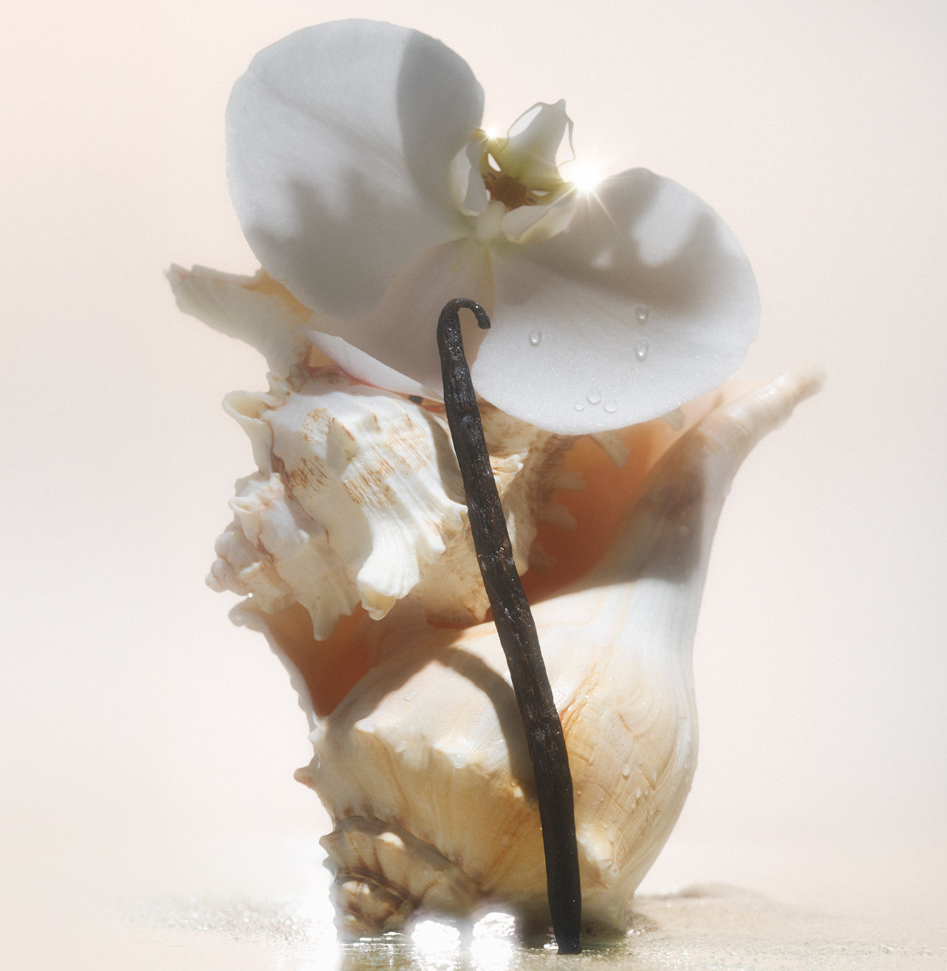 5-SLTR_PDP_SaltWaterVanilla_Botanicals_0ef197e8-751a-4a05-bc16-a72536427866_3000x.jpg
