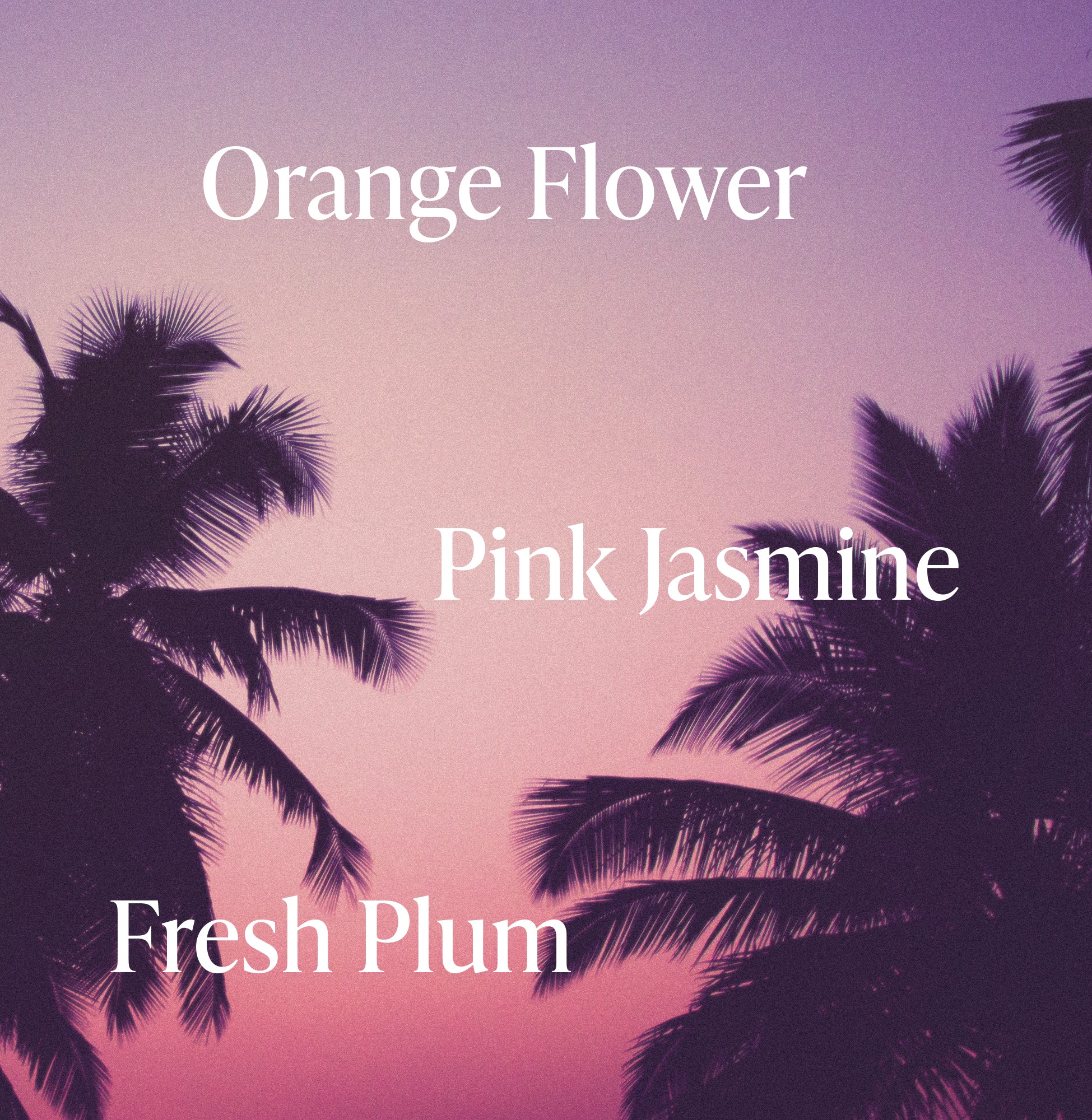 Beach-Blonde_Conditioner_Purple_Fragrance-Notes_3000x.jpg