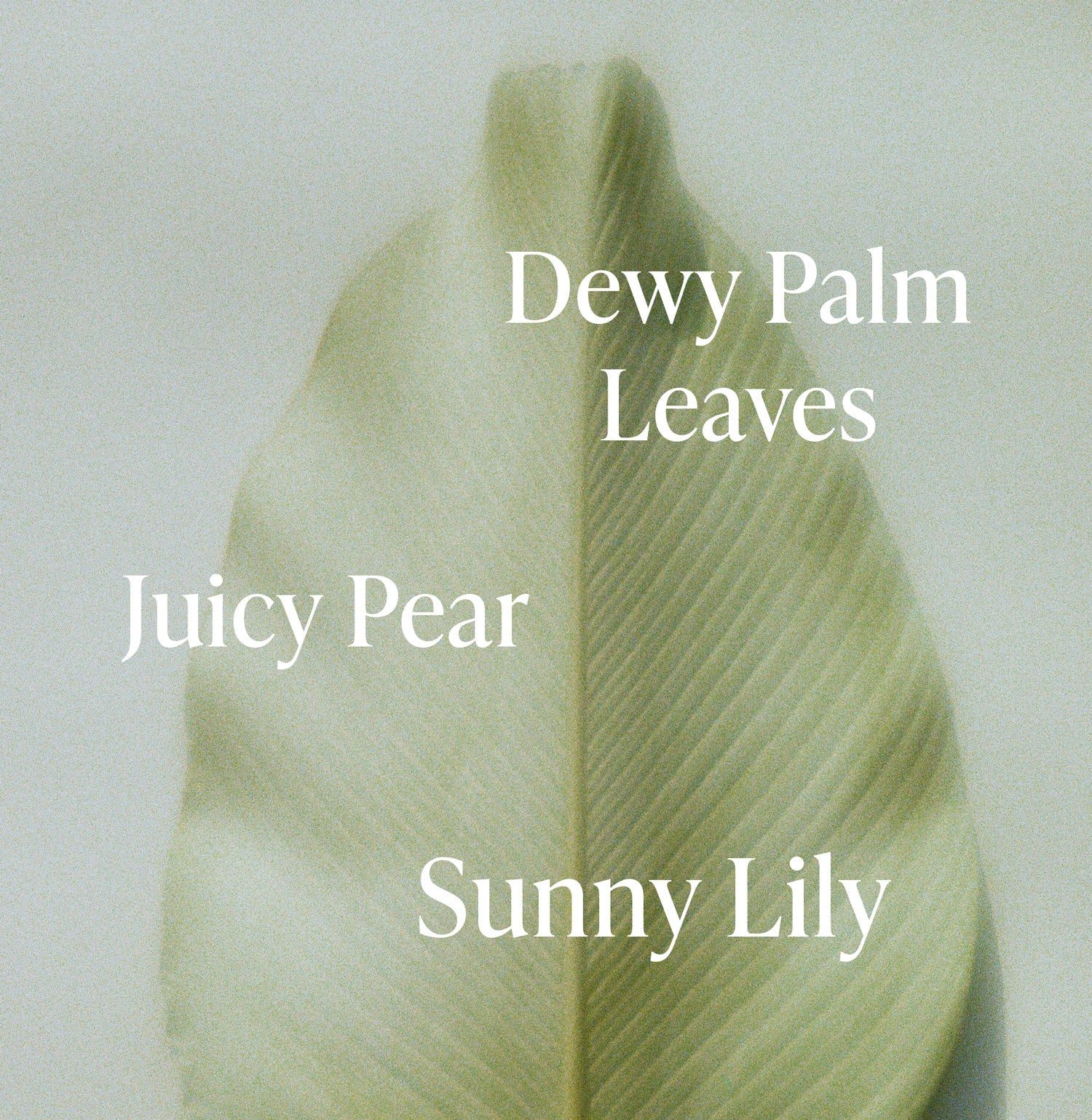 SALR_PDP_FragranceNotes_LushGreens-B_b28724f5-577a-4c59-99c5-7f2250eac0bd_3000x.jpg