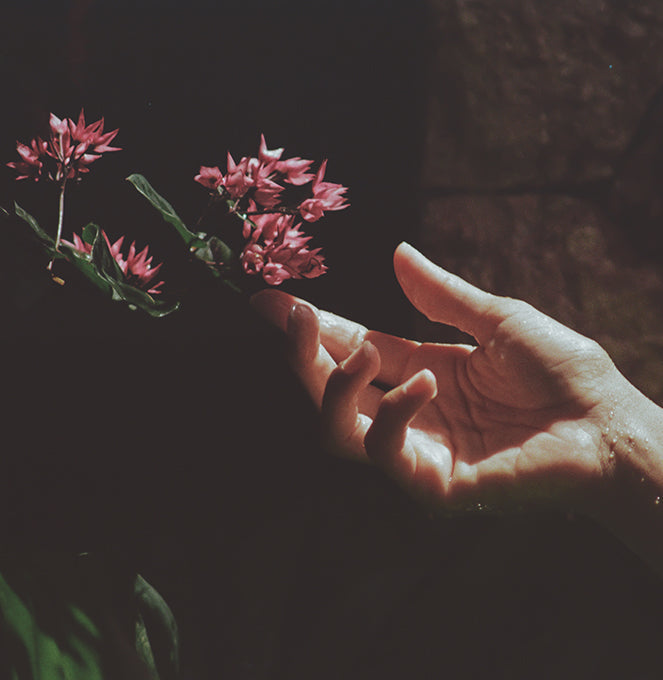 SantalBloomPDPHero4_f5d39bf4-5740-4e49-bbe3-69b7da59b96d_3000x.jpg